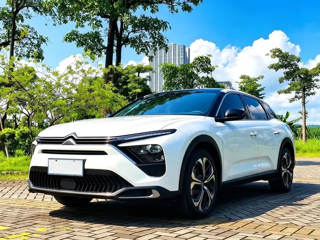 Citroën Versailles C5 X 2022 1.6T Momentum Extraordinary Tiger Year Opening Edition