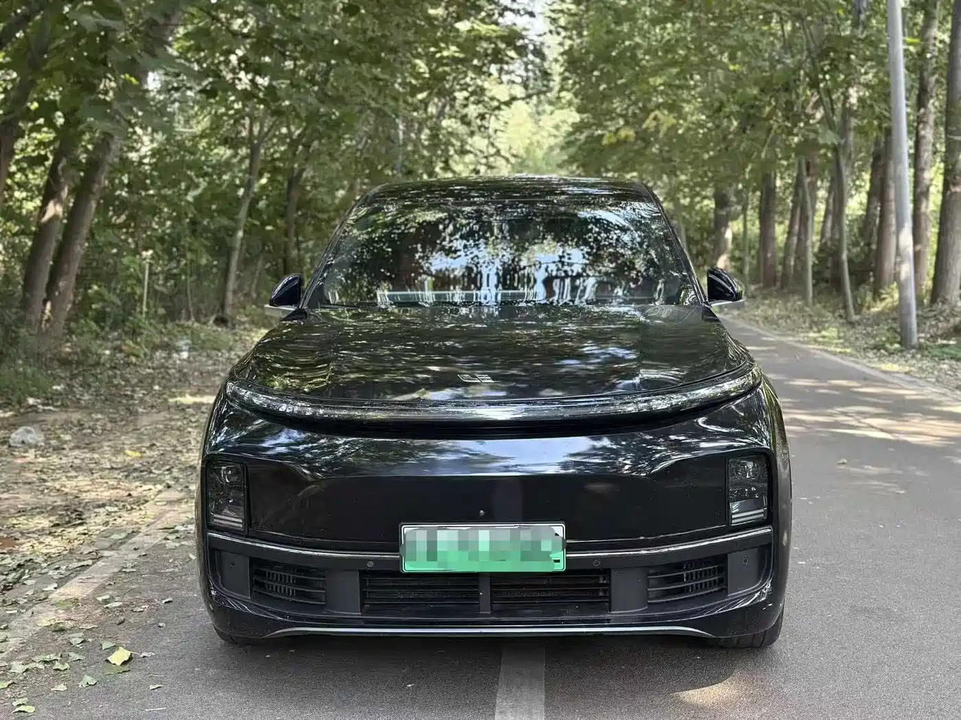 Li Auto Li Xiang L9 2023 Model Pro