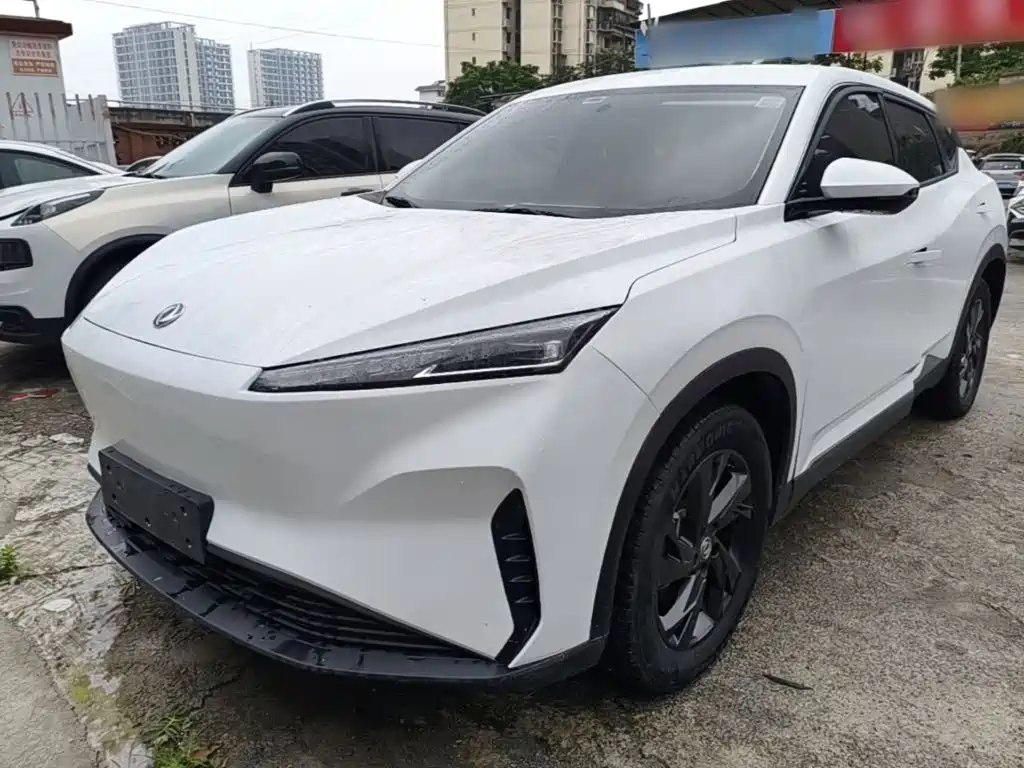 Dongfeng Aeolus SKY EV01 2023 Model 445km PRO