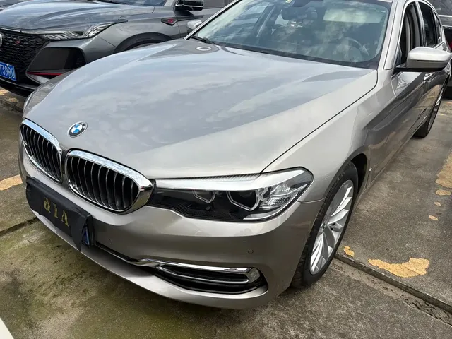 BMW 5 Series 2019 530Li Leading Luxury Package