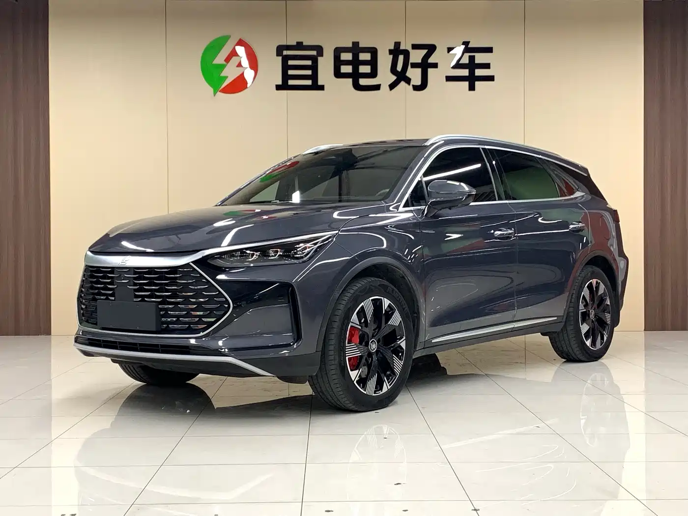 BYD Tang New Energy 2022 DM-p 215KM AWD Flagship