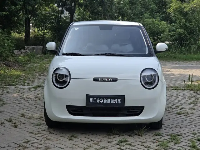 Changan Qiyuan Changan Lumin 2023 Model 301km Honey Edition