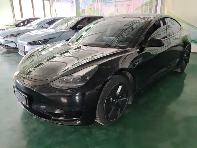 Tesla Model 3 2022 Model Rear-Wheel Drive Version