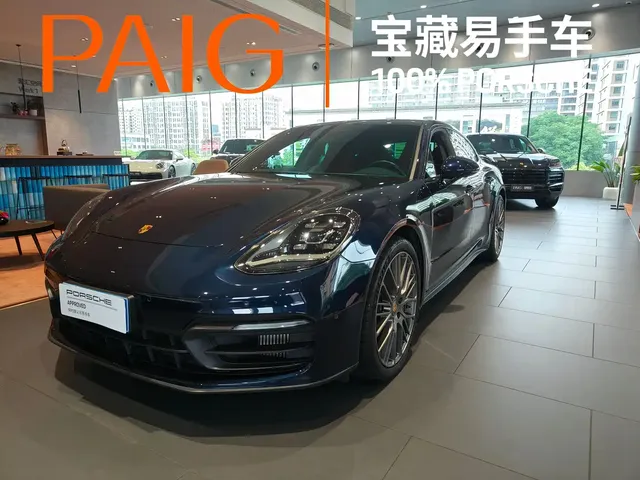 Porsche Panamera 2023 Panamera 2.9T Platinum Edition