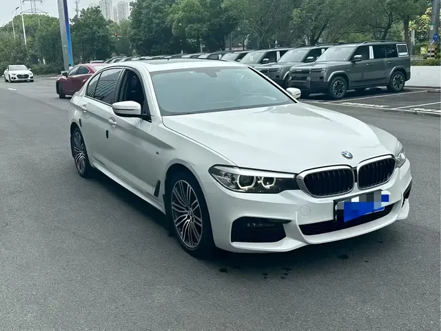 BMW 5 Series 2018 528Li Launch Special Edition