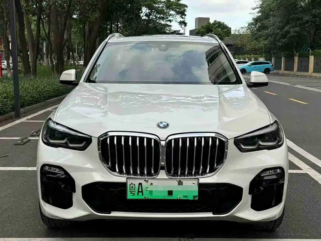 BMW X5 New Energy(Imported) 2020 xDrive45e M Sport Package