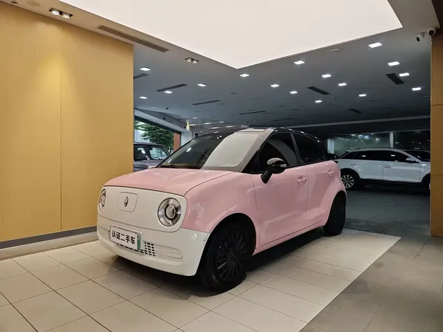 Ora Black Cat 2021 301km Pet Edition