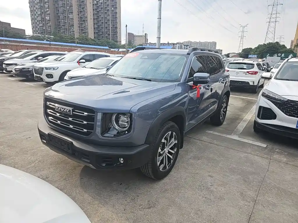 Haval Big Dog 2021 1.5T DCT 2WD Border Collie Edition