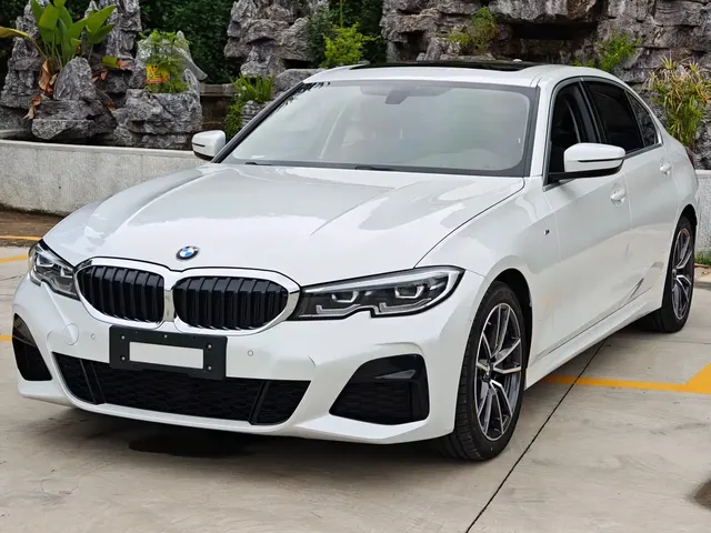 BMW 3 Series 2020 320Li M Sport Package