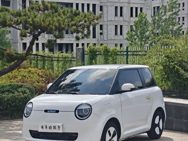 Changan Qiyuan Changan Lumin 2023 Model 205km Fragrant Edition