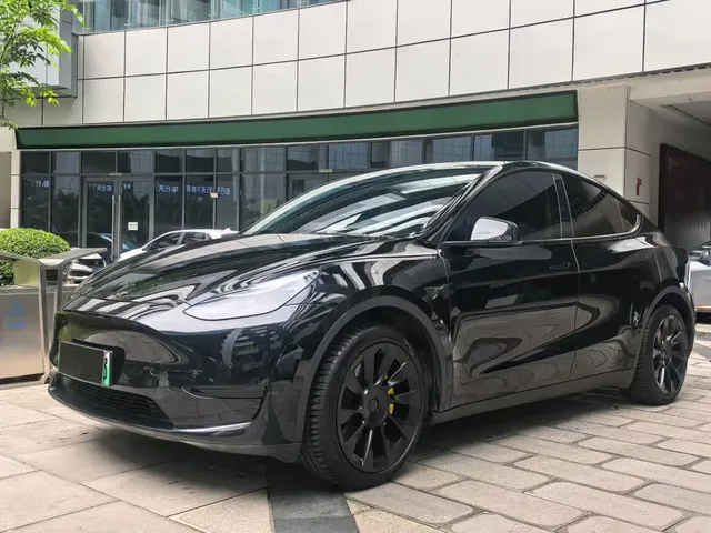 Tesla Model Y 2022 Rear-Wheel Drive Version