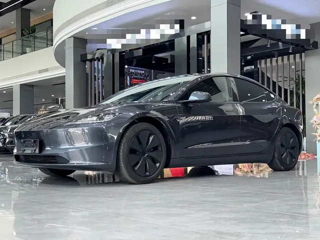 Tesla Model 3 2025 Model Rear-Wheel Drive Edition