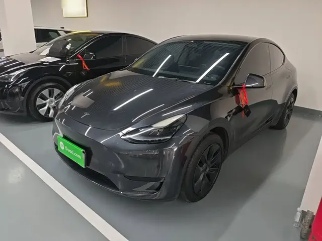 Tesla Model Y 2024 Rear-Wheel Drive Version