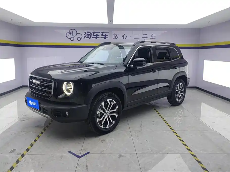 Haval Big Dog 2021 1.5T DCT 2WD Border Collie Edition