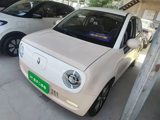 Ora Black Cat 2021 351km Luxury Model