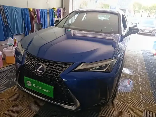 Lexus UX 2019 260h F SPORT Edition China VI