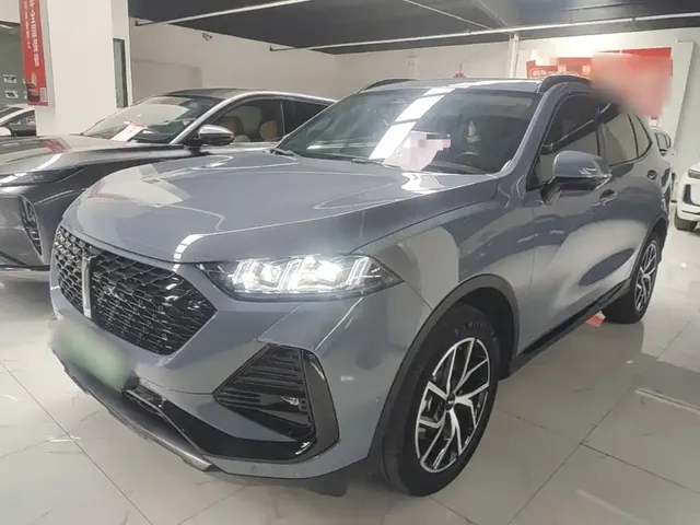 WEY Latte DHT-PHEV 2022 1.5T 2WD Extra Large Cup