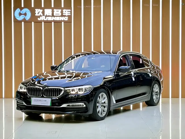 BMW 5 Series New Energy 2018 530Le Luxury Package