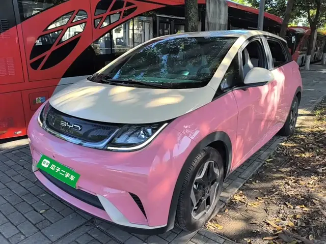 BYD Dolphin 2021 405km Freedom Edition