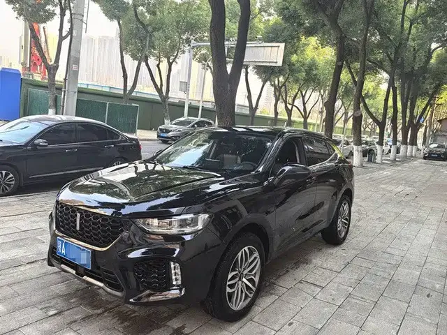 WEY VV5 2019 1.5T 2WD Trend Pioneer