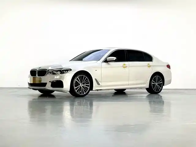 BMW 5 Series 2020 530Li Leading M Sport Package