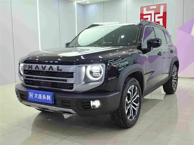 Haval Big Dog 2024 1.5T DCT Border Collie Edition
