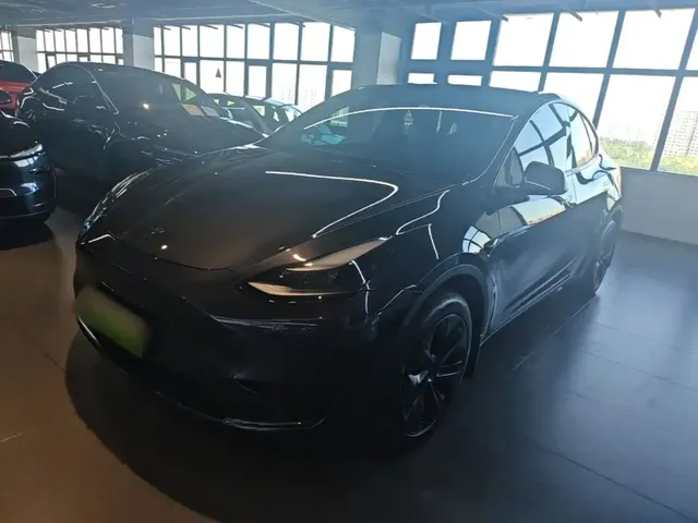 Tesla Model Y 2024 Rear-Wheel Drive Version