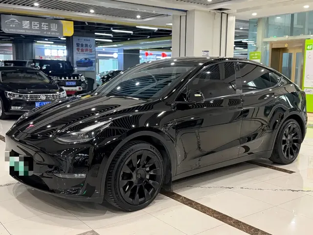 Tesla Model Y 2021 Standard Range Rear-Wheel Drive