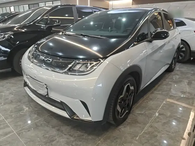BYD Dolphin 2021 405km Freedom Edition