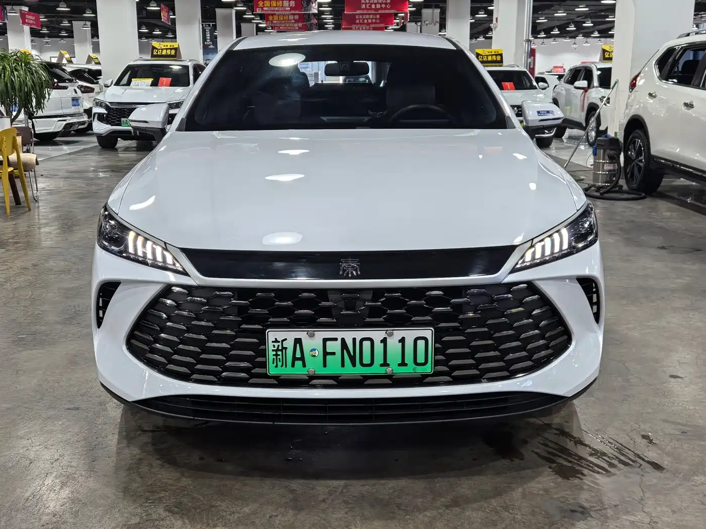 BYD Qin PLUS 2026 DM-i 128KM Progressive