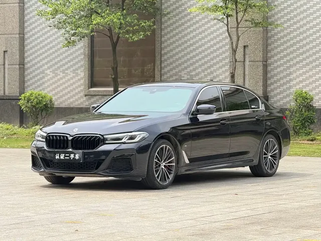 BMW 5 Series 2021 530Li Leading M Sport Package