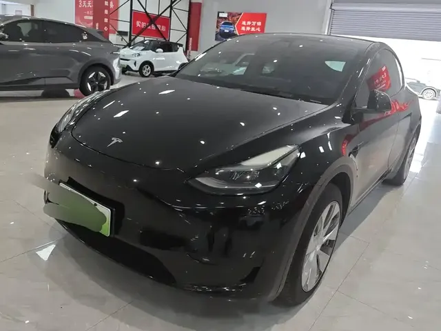 Tesla Model 3 2021 Standard Range Rear-Wheel Drive Upgrade 3D6