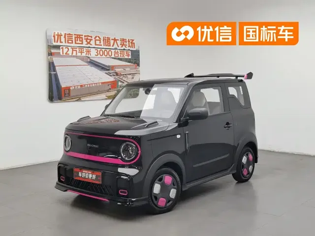 Geely Galaxy Panda 2025 Model Year 210km Panda Kart