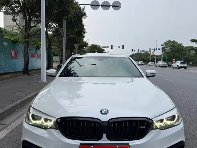 BMW 5 Series 2019 530Li Leading M Sport Package