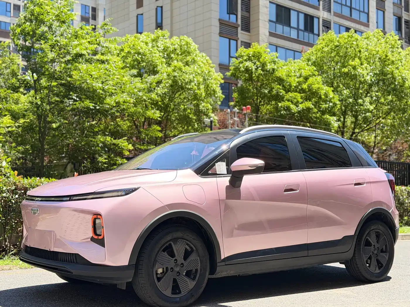 Geely Geometry E Firefly 2023 401KM Linglong Tiger 5-Seater