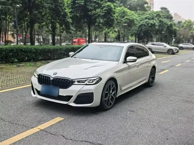 BMW 5 Series 2021 530Li Leading M Sport Package