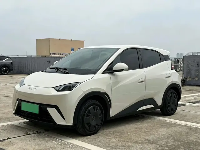 BYD Seagull 2024 Glory Edition 305km Vitality Edition