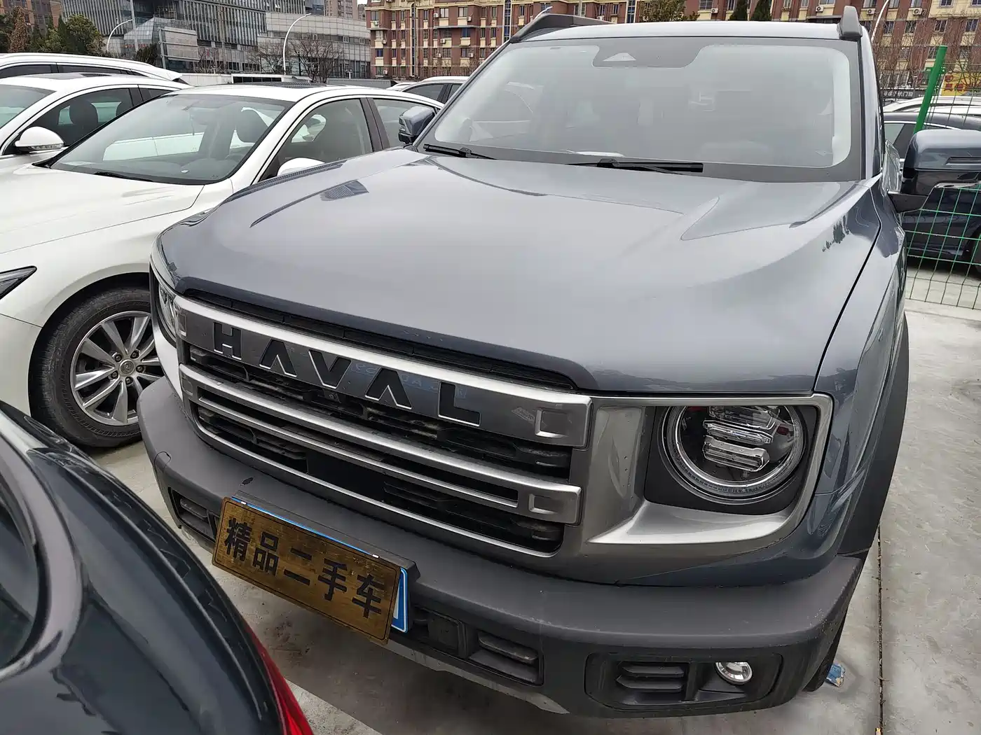 Haval Big Dog 2024 1.5T DCT Border Collie Edition