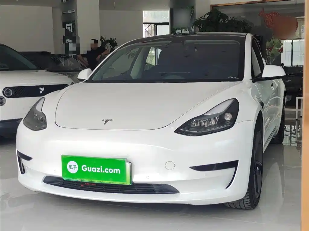 Tesla Model 3 2022 Model Rear-Wheel Drive Version