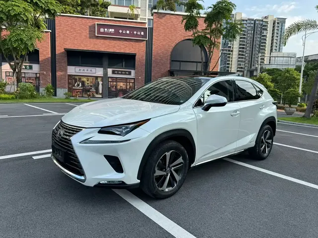 Lexus NX 2018 Model 300h AWD Fengzhi Edition China V