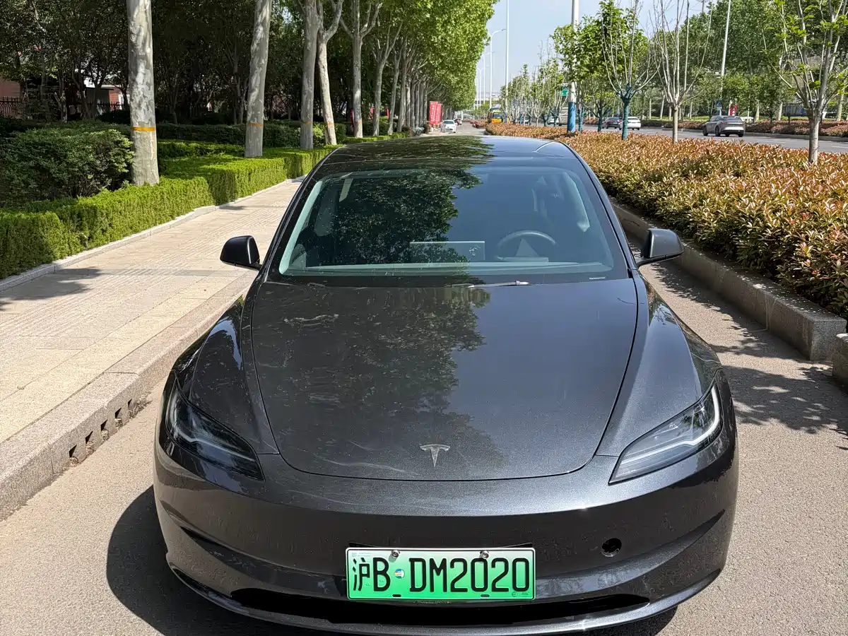 Tesla Model 3 2025 Model Rear-Wheel Drive Edition
