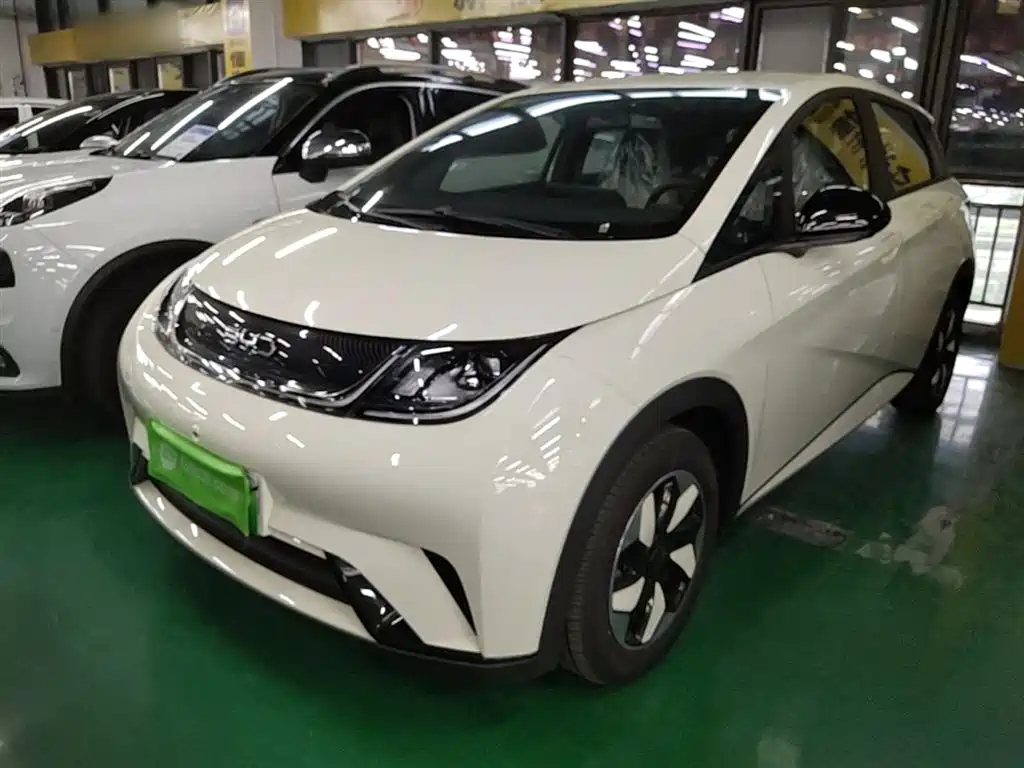 BYD Dolphin 2025 420km Freedom Edition