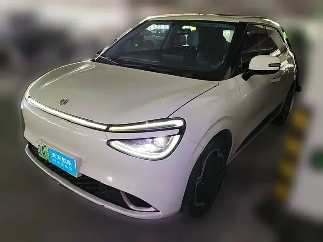 Dongfeng Yipai Nano 01 2024 430 Plus