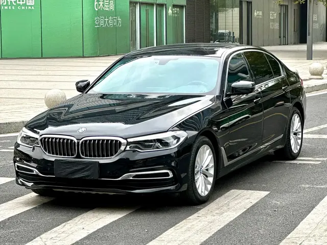 BMW 5 Series 2020 530Li Leading Luxury Package