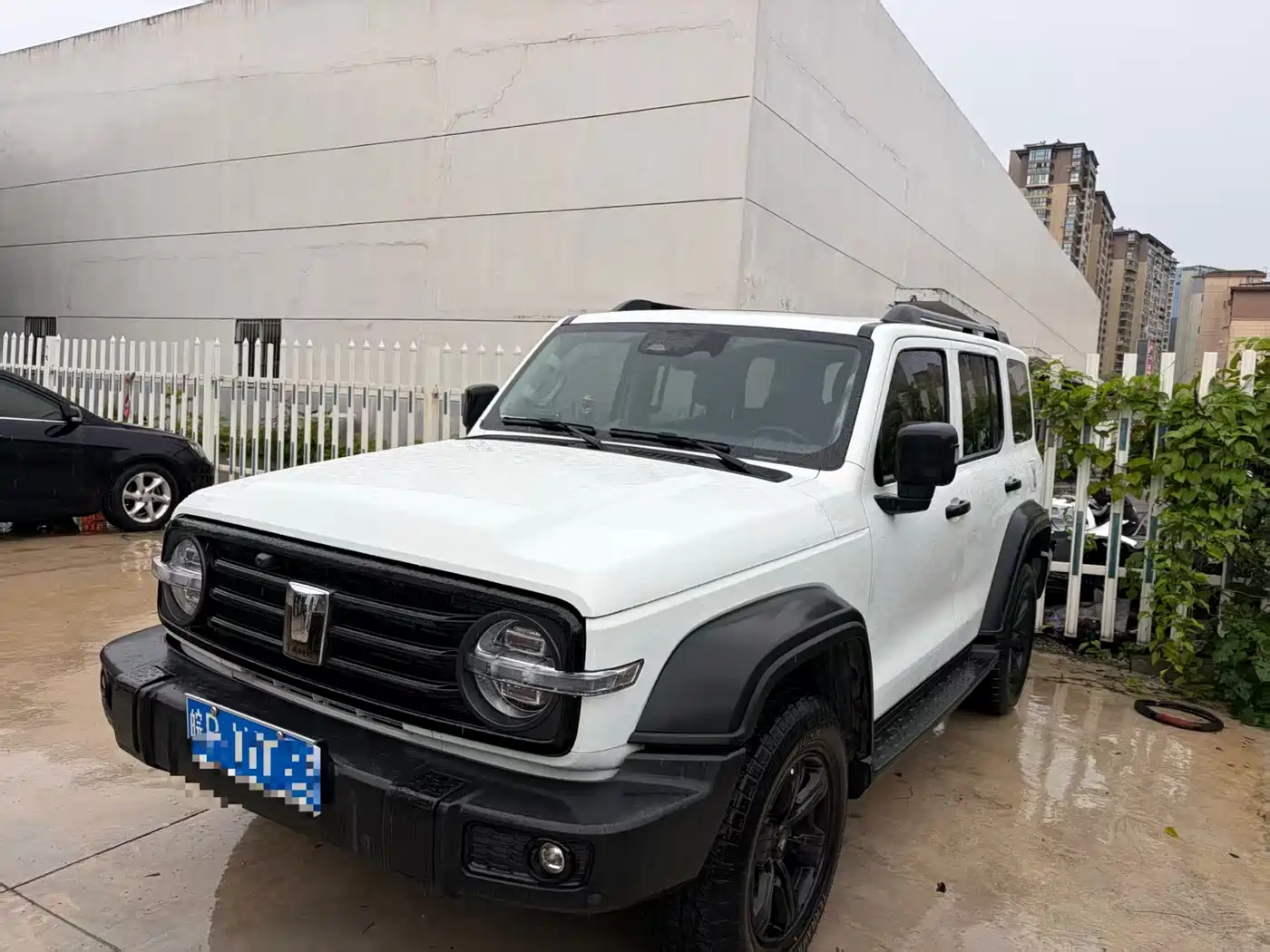 Tank 300 2021 Off-road Version 2.0T Conqueror