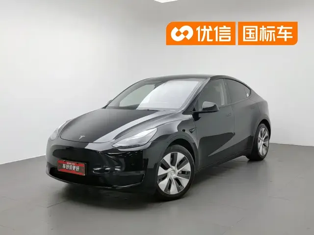 Tesla Model Y 2021 Standard Range Rear-Wheel Drive