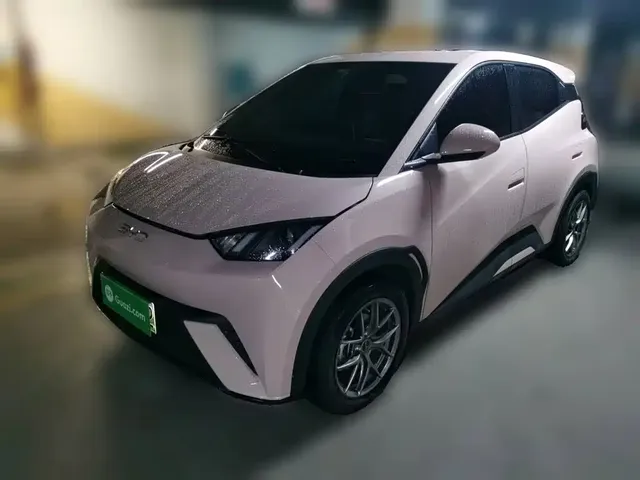 BYD Seagull 2024 Glory Edition 305km Vitality Edition