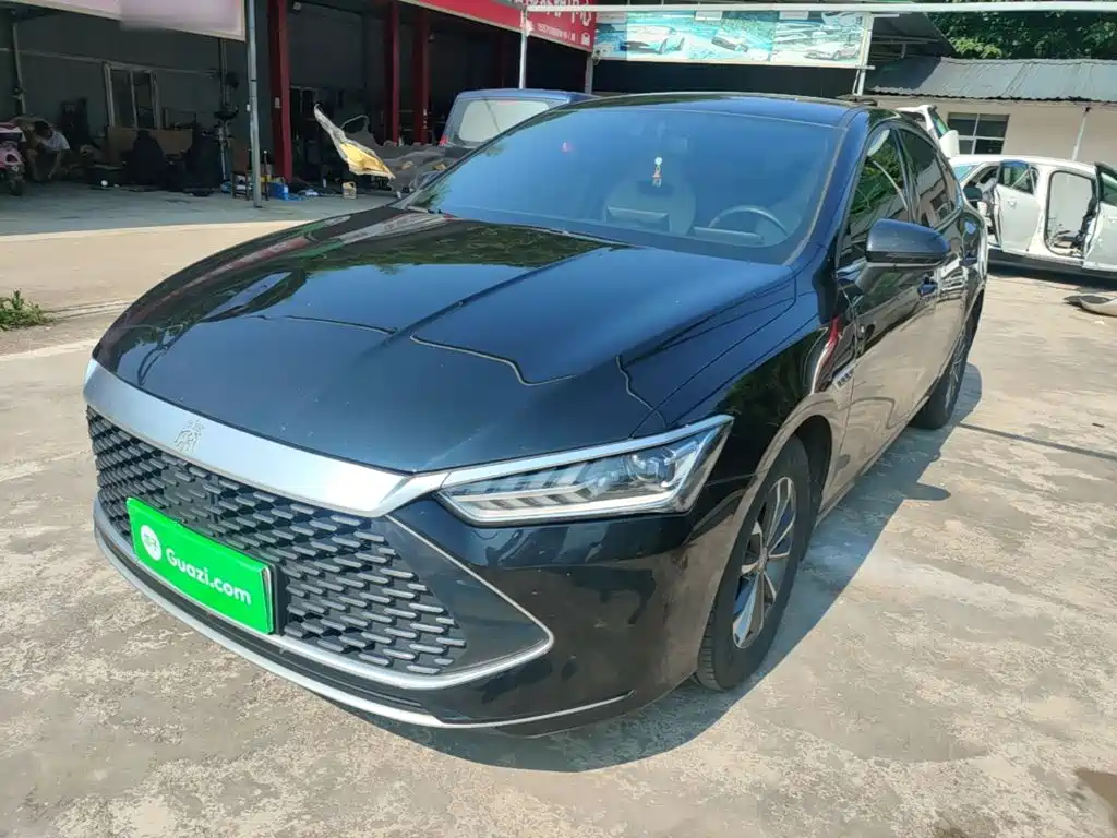 BYD Qin PLUS 2024 Glory Edition DM-i 55KM Leading