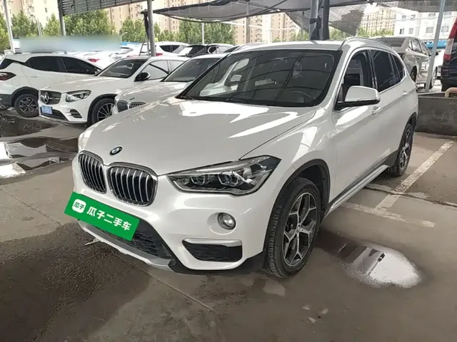 BMW X1 2019 xDrive20Li Premium Model