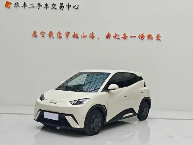 BYD Seagull 2024 Glory Edition 305km Vitality Edition